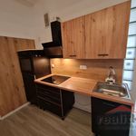 Rent 1 bedroom apartment of 65 m² in Opava