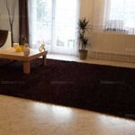 Rent 4 bedroom apartment of 165 m² in Budapest