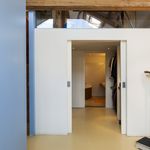 Rent 2 bedroom apartment of 170 m² in Amsterdam