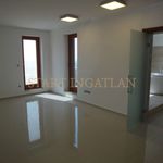 Rent 6 bedroom house of 1000 m² in Budapest