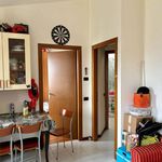 Rent 2 bedroom apartment of 50 m² in Crema