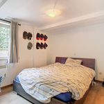 Rent 1 bedroom apartment in Zulte