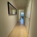 Rent 1 bedroom apartment in Auderghem