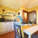 Rent 2 bedroom apartment of 65 m² in Pisa