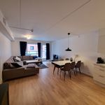Rent 4 bedroom apartment of 85 m² in Oslo
