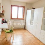 Rent 5 bedroom apartment of 100 m² in Urbino