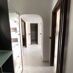 Rent 2 bedroom apartment of 60 m² in Trezzano sul Naviglio