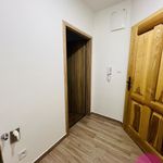 Pronajměte si 1 ložnic/e byt o rozloze 35 m² v Uhelná