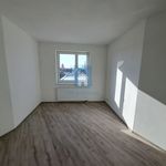 Rent 2 bedroom apartment of 78 m² in Pilsen