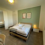 Rent 4 bedroom apartment in Treviso