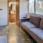 Ενοικίαση 1 υπνοδωμάτια διαμέρισμα από 27 m² σε Argyroupoli