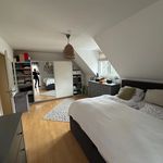 Rent 5 bedroom apartment of 145 m² in München
