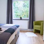 Rent 2 bedroom apartment of 44 m² in Wuppertal
