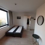 Louez une chambre de 16 m² à Leuven