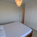 Rent 2 bedroom apartment of 45 m² in Arrondissement of Grenoble