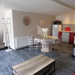 Rent 2 bedroom apartment of 58 m² in Salles-la-Source