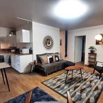  appartement avec 1 chambre(s) en location à Castanet-Tolosan