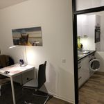 Rent 1 bedroom apartment of 50 m² in Cologne