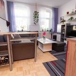 Rent 2 bedroom apartment of 33 m² in Halle