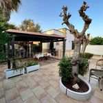 Rent 1 bedroom house of 45 m² in Carovigno