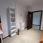 Affitto 13 camera appartamento in Trento