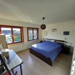 Huur 3 slaapkamer huis van 215 m² in Aalter