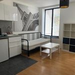 Rent 1 bedroom apartment of 230 m² in Lille