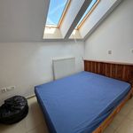 Rent 1 bedroom apartment of 40 m² in Provodov-Šonov