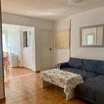 Rent 2 bedroom apartment of 75 m² in Alicante