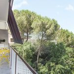 Rent 1 bedroom apartment of 60 m² in Imola