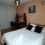 Rent 1 bedroom apartment of 43 m² in Lyon