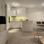 Rent 2 bedroom apartment of 97 m² in Schaerbeek