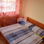 Rent 3 bedroom apartment of 65 m² in Konice