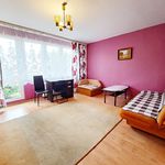 Rent 3 bedroom apartment of 62 m² in Kielce