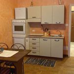 Affitto 1 camera appartamento di 35 m² in Bardonecchia