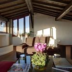 Rent 2 bedroom apartment of 150 m² in Firenze