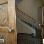 Rent 1 bedroom house of 13 m² in Turin