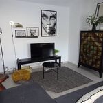 Rent 2 bedroom apartment in IXELLES