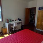 Rent a room of 24 m² in Perugia