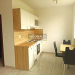 Rent 1 bedroom apartment of 24 m² in Číhošť