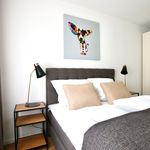 Rent 2 bedroom apartment of 75 m² in Köln