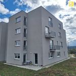 Rent 2 bedroom apartment of 58 m² in Mýto