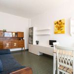Rent 1 bedroom apartment of 60 m² in Pioltello