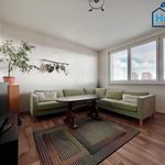 Rent 1 bedroom apartment of 45 m² in Ostrava