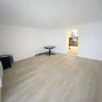 Rent 1 bedroom apartment of 45 m² in Auch