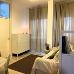Affitto 1 camera appartamento di 45 m² in Brugherio