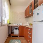 Rent 1 bedroom apartment of 27 m² in Hradec Kralove