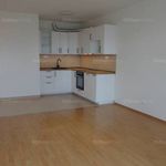 Rent 2 bedroom apartment of 46 m² in Budapest