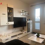 Rent 3 bedroom apartment of 68 m² in Zlín