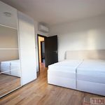 Rent 5 bedroom house of 156 m² in Praha